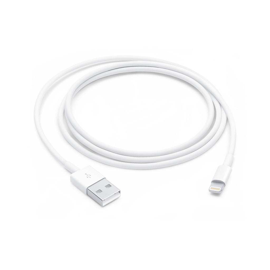 Original Apple Lightning to USB Cable (1 m)