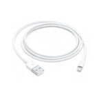 Original Apple Lightning to USB Cable (1 m)