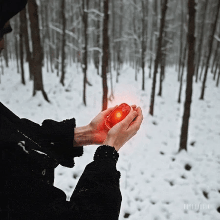 Goodiz 2-in-1 Hand Warmer