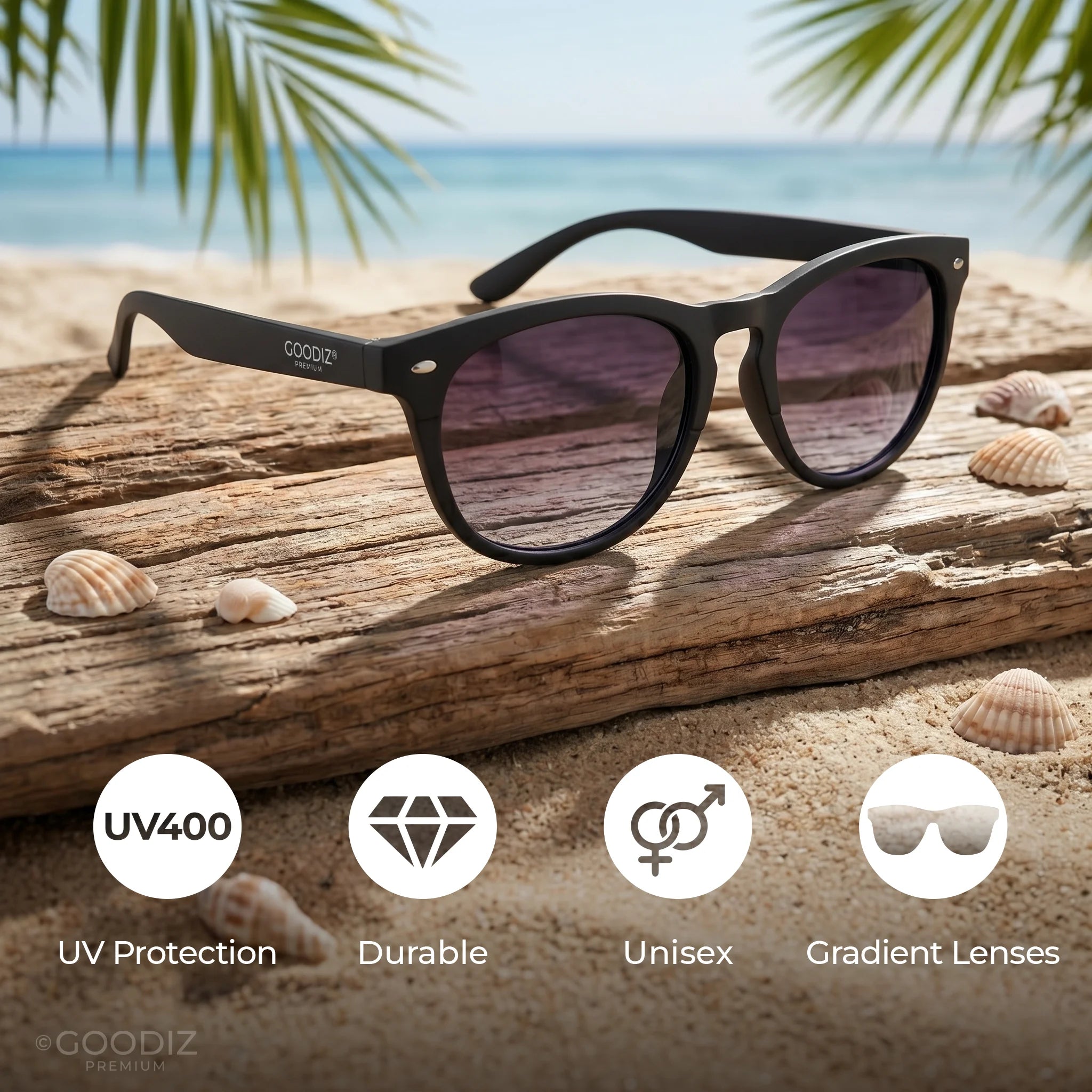 Goodiz Panto Sunglasses (Purple Haze)