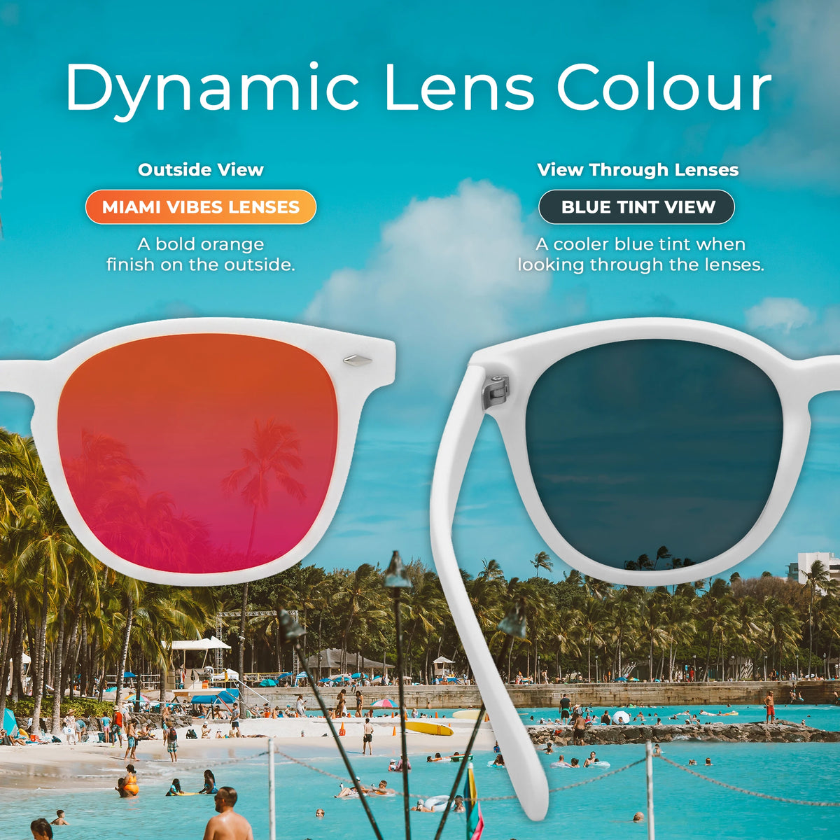 Goodiz Wayfarer Sunglasses (Miami Vibe)