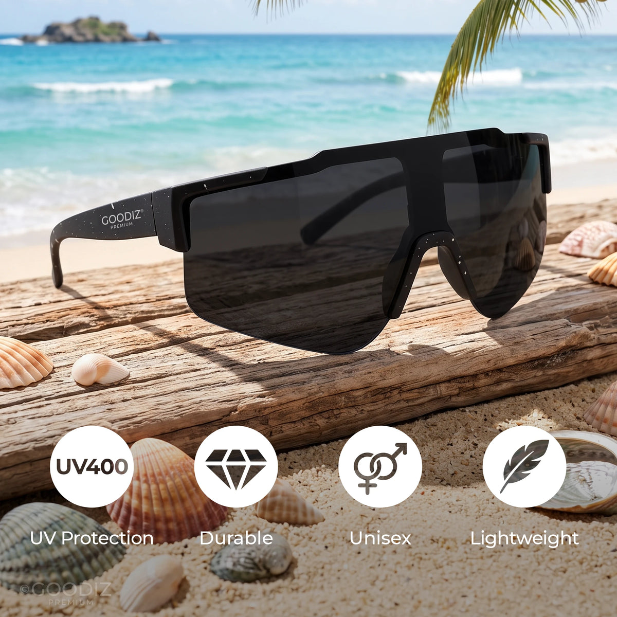 Goodiz Shield Sunglasses (Black Ice)